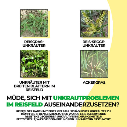 Glyphosat-Herbizid mit hoher Konzentration – Unkrautvernichter für die Pflege von Böden und Flächen