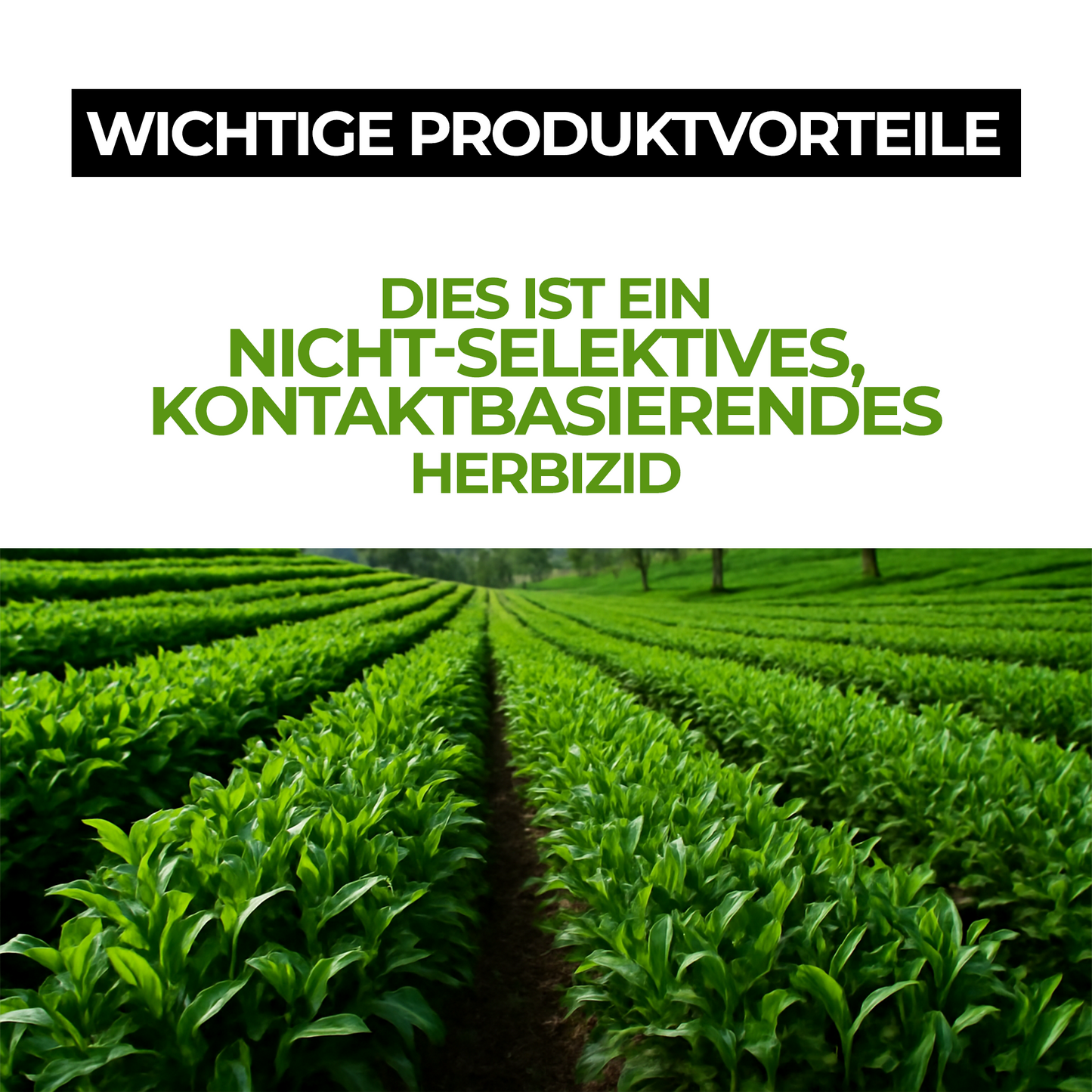 Glyphosat-Herbizid mit hoher Konzentration – Unkrautvernichter für die Pflege von Böden und Flächen
