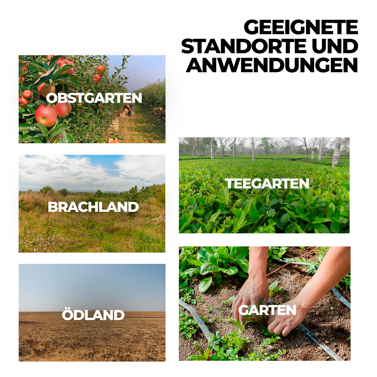 Glyphosat-Herbizid mit hoher Konzentration – Unkrautvernichter für die Pflege von Böden und Flächen