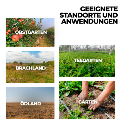 Glyphosat-Herbizid mit hoher Konzentration – Unkrautvernichter für die Pflege von Böden und Flächen